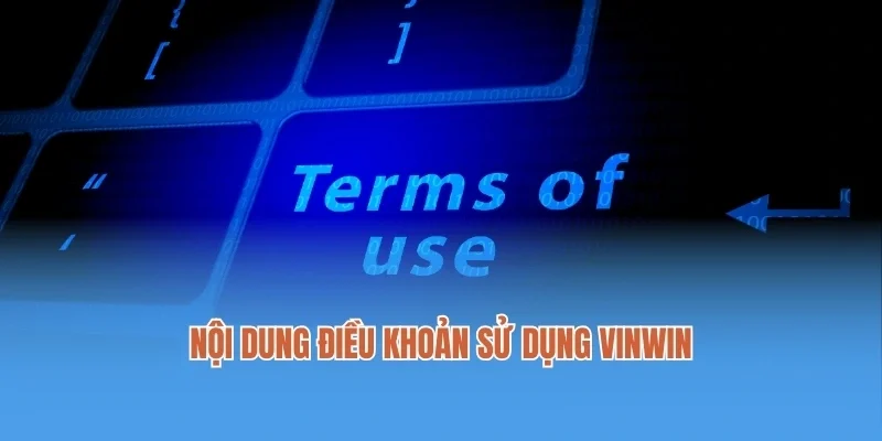 Nội dung điều khoản sử dụng Vinwin