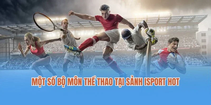 Một số bộ môn thể thao tại sảnh isport hot nhất hiện nay
