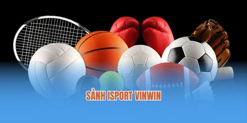 Sự Hấp Dẫn Đến Từ Sảnh isport Vinwin Hot Nhất Hiện Nay
